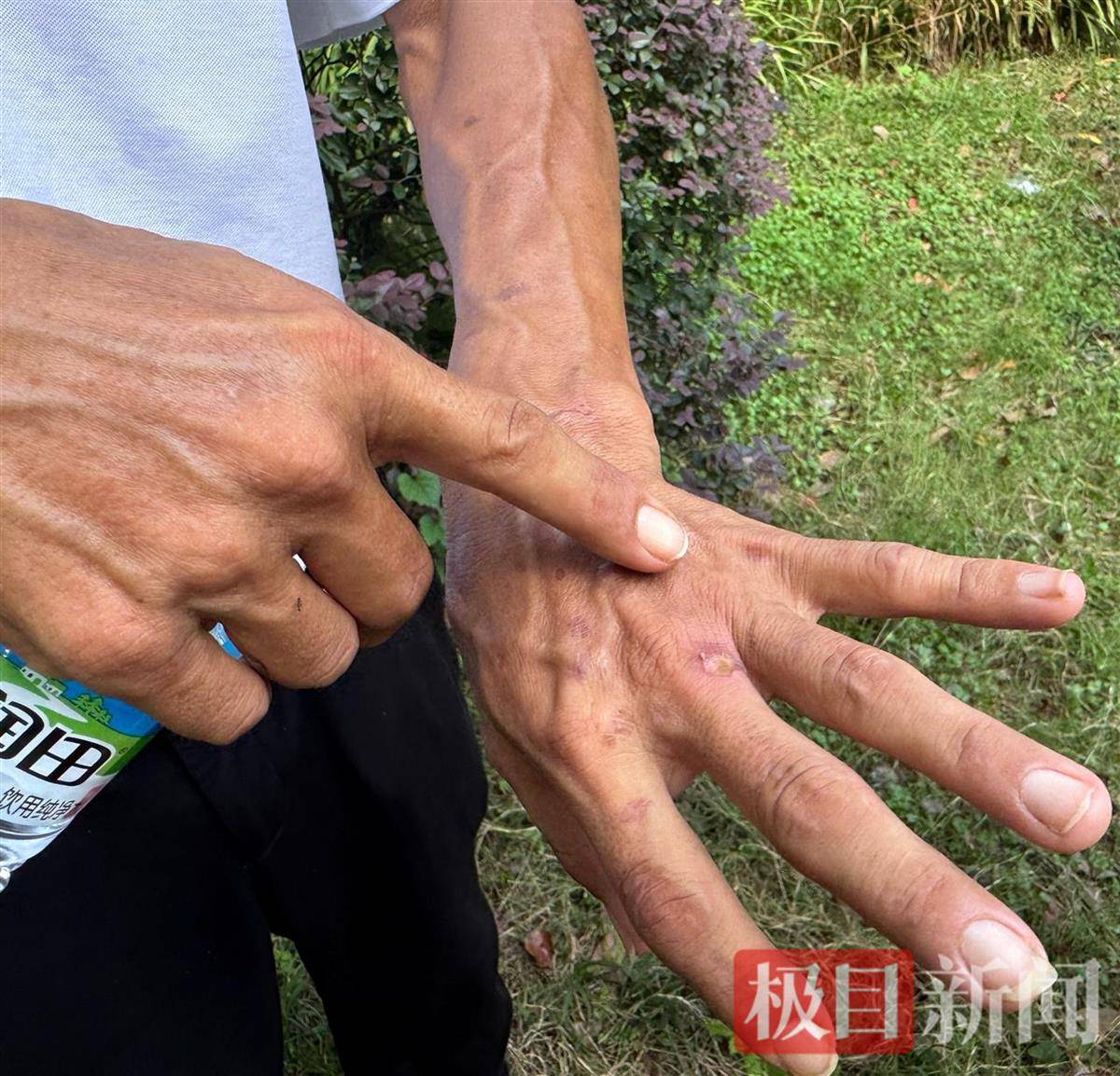 皇冠信用盘APP下载_“鸡排哥”赚得盆满钵满购置多套房产？当事人幽默回应：还没到一个亿皇冠信用盘APP下载，你多来，我才能多卖2份